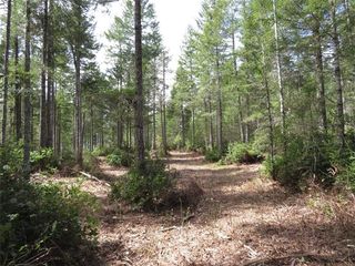 0 E Mooreview Lane, Shelton, WA 98584