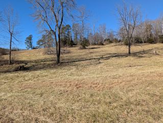 Tharp Creek Rd, Ferrum, VA 24088