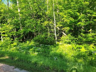 On KENTWOODS ROAD, Bryant, WI 54418
