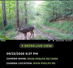 101 Irvin Phelps Rd, Somerset, KY 42501