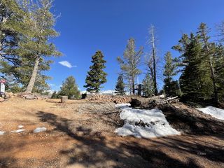 1224 N  Aspen Dr, Brian Head, UT 84719