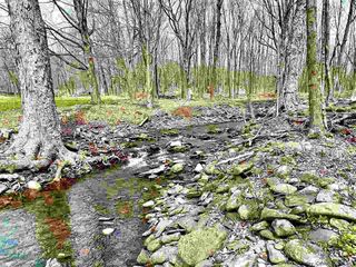 W. Saugerties-woodstock Road, Woodstock, NY 12498