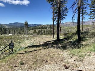 123 TBD Buzzard Lake Road, Okanogan, WA 98840