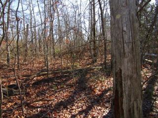 20 Laurel Loop #20, Monterey, TN 38574
