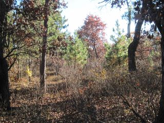 L55 & 56 S  Chicago Dr, Friendship, WI 53934