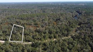 NE CHERVIL DRIVE, Lee, FL 32059