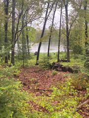 1530 Springwood Dr, Harrison, MI 48625