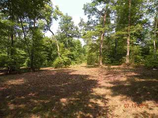 Toestring Cove Rd, Spring City, TN 37381