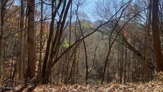 2446 Sunset Rd #12, Sevierville, TN 37876