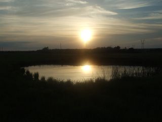 Front pond closest to home place