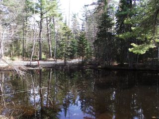 49 Hull Rd, Rainbow Lake, NY 12976