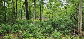 10XX US Highway 8, Amery, WI 54001