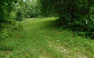 4286 SE 871 Road, Collins, MO 64738