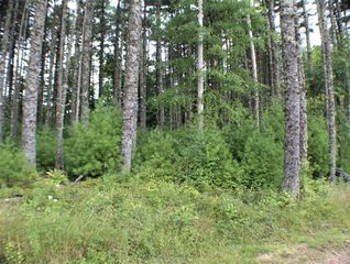 Beaver Creek Retreat Rd, Marlinton, WV 24954