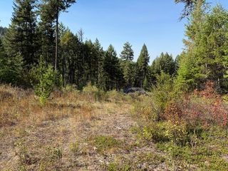 Saint Peters Creek Rd, Malo, WA 99150