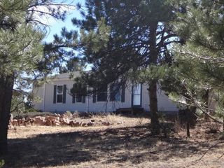 1826 P Path, Cotopaxi, CO 81223