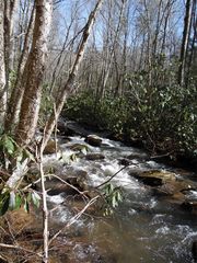 Tbd Ripshin Rd, Troutdale, VA 24378