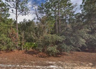 LOT 5 DAVID Avenue, Interlachen, FL 32148