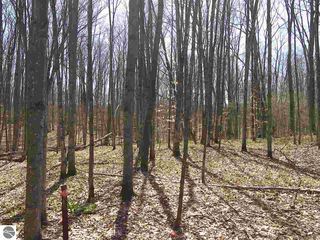 W  Armstrong Lake Trail B 3, Empire, MI 49630