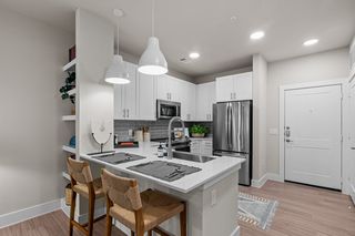 250 N  Village Dr #6208, Webster, TX 77598