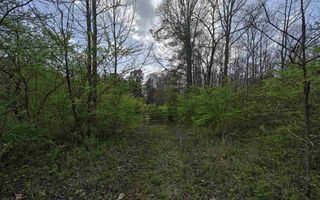 Mount Rd, Blountsville, AL 35031