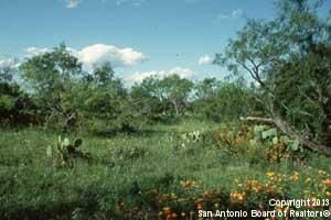 000 JAKES COLONY LOT 59SUR, Seguin, TX 78155