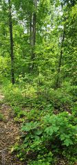 12069 Highway K, Jadwin, MO 65501