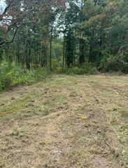 County Road 8, Waterloo, AL 35677