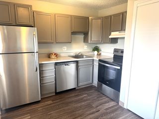 730 S  Wilcox St #102, Castle Rock, CO 80104