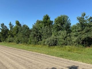 Bellaire Drive Lots 167 #&-168, Harbor Beach, MI 48441
