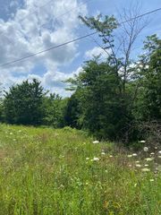 Lot 5 Bluff Springs Dr, Omaha, AR 72662