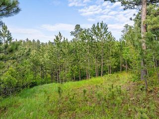 Lot 17 Green Mountain Ct, Spearfish, SD 57783