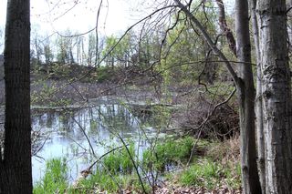 V/l Frost Rd, Portland, MI 48875