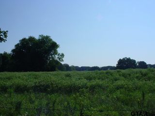 R1646 W  FM 2795, Emory, TX 75440