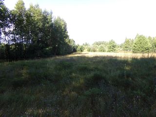 7581 S  Marsik Rd #2, Lake Nebagamon, WI 54849