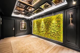 707 N  Wells St #1003, Chicago, IL 60654