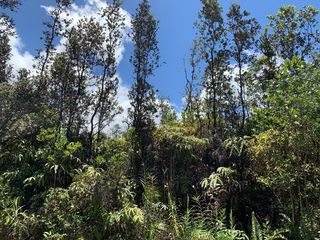 16-921 Kea Rd #3731, Mountain View, HI 96771