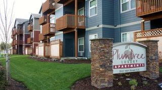 Apartments For Rent In Albany Or 16 Rentals Trulia
