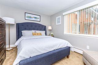 apartments for rent in brighton ny 39 rentals trulia