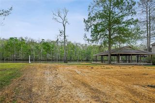 20287 Patricia St, Springfield, LA 70462
