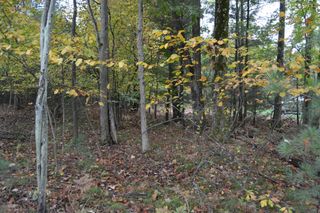 5755 W  John St #7, Ludington, MI 49431