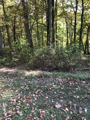 Lot 3 Elem St, Chilhowie, VA 24319