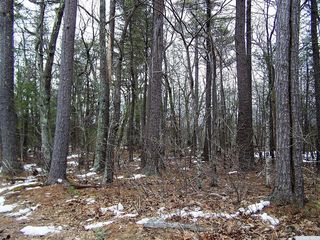 776 Bogart Road, Palenville, NY 12463