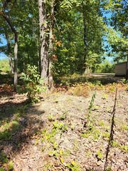 Virginia St W, Holladay, TN 38341