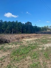 Mount Olive Rd, Beaverdam, VA 23015