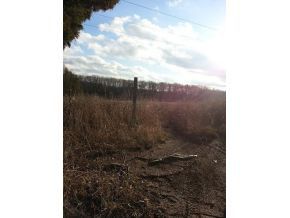 3599 Marvin Rd, Mosheim, TN 37818