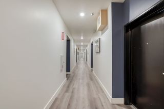13724 Victory Blvd #310, Van Nuys, CA 91401