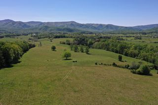 97 Ac Hops Hill Rd, Glasgow, VA 24555