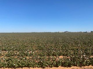 N  Private Road 2060, Lubbock, TX 79415