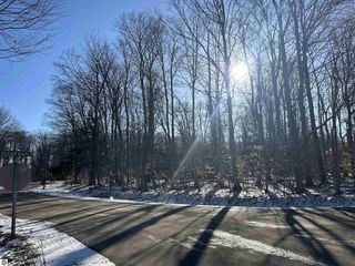 Lot 74 E  Sugar Maple Dr, Cedar, MI 49621
